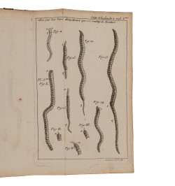 [Entomologie] Traité d'insectologie, ou observations sur les pucerons.