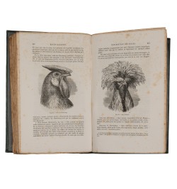 De la variation des animaux et des plantes, sous l'action de la domestication.