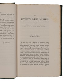 Des différentes formes de fleurs dans les plantes de la même espèce.