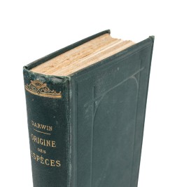 L'origine des espèces au moyen de la sélection naturelle, ou la lutte pour l'existence dans la nature.