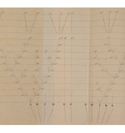 L'origine des espèces au moyen de la sélection naturelle, ou la lutte pour l'existence dans la nature.