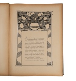 Kunsthafe-Album. 1899.