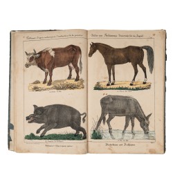 [Imagerie populaire] Tableaux d'après nature pour l'instruction de la jeunesse.