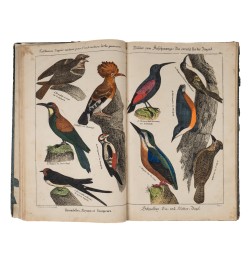 [Imagerie populaire] Tableaux d'après nature pour l'instruction de la jeunesse.