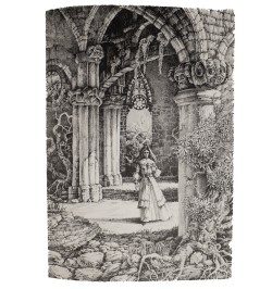 Carmilla. Traduit de l'anglais par Jacques Papy. Préface de Claude Seignolle. Lithographies originales de Gérard Gachet.