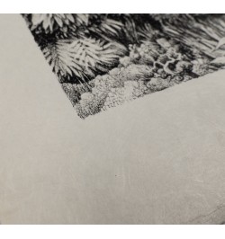 Carmilla. Traduit de l'anglais par Jacques Papy. Préface de Claude Seignolle. Lithographies originales de Gérard Gachet.