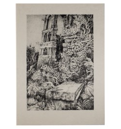 Carmilla. Traduit de l'anglais par Jacques Papy. Préface de Claude Seignolle. Lithographies originales de Gérard Gachet.