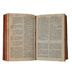 Dictionnaire universel des fossiles propres et des fossiles accidentels...