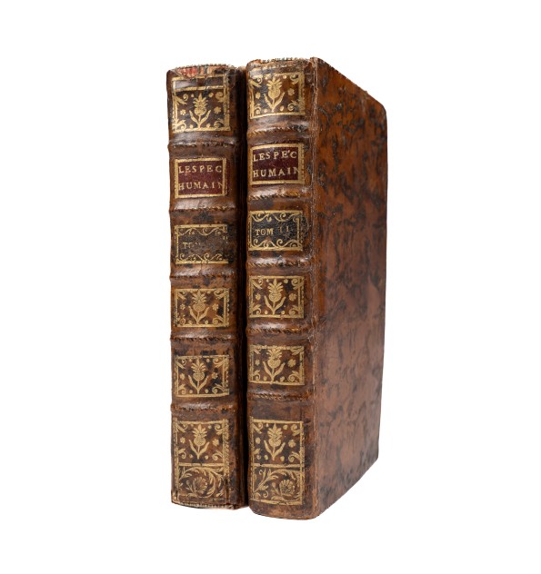 Essai sur la manière de perfectionner l'espèce humaine.