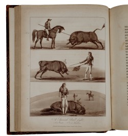 Travels in Europe and Africa.