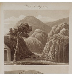 Travels in Europe and Africa.