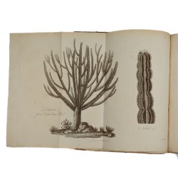 An Account of the Empire of Marocco and the district of Suse...