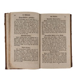 Die gelehrige Hauswirthin.