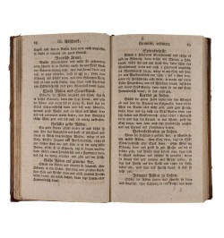 Die gelehrige Hauswirthin.