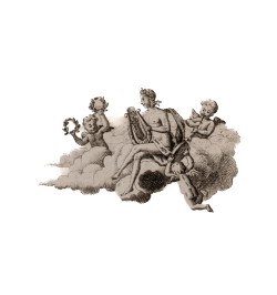 Der vollkommene Orgelmacher.