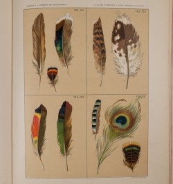 [méthode de dessin] Das freie Zeichnen. Vol. I & II.