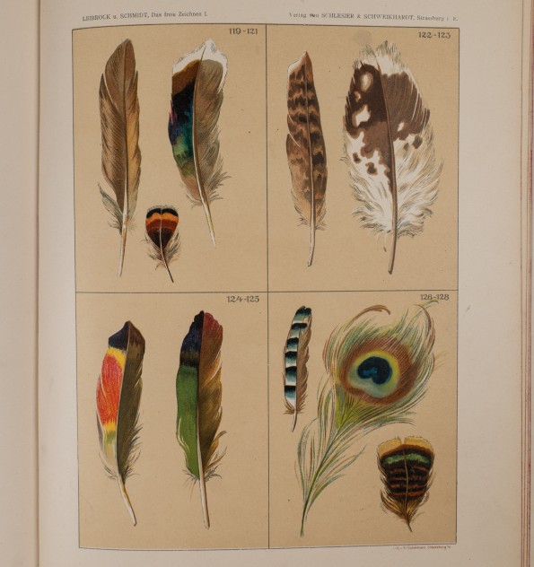 [méthode de dessin] Das freie Zeichnen. Vol. I & II.