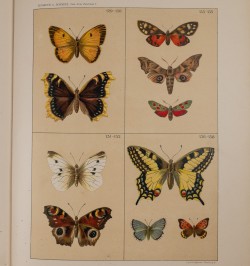 [méthode de dessin] Das freie Zeichnen. Vol. I & II.