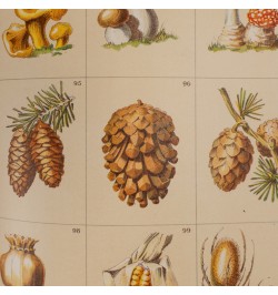 [méthode de dessin] Das freie Zeichnen. Vol. I & II.