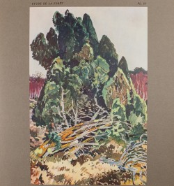 Etude de la forêt. Cent dix planches dont quarante en couleurs.