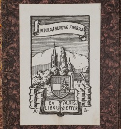 Essais historiques et topographiques sur l’église cathédrale de Strasbourg.