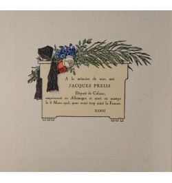 Le Paradis Tricolore. Petites villes et villages de l'Alsace déjà délivrée...