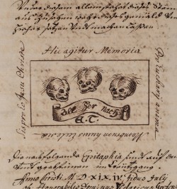 [Manuscrit] Summum Argentoratensium Templum.