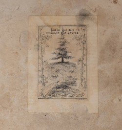 [Manuscrit] Summum Argentoratensium Templum.