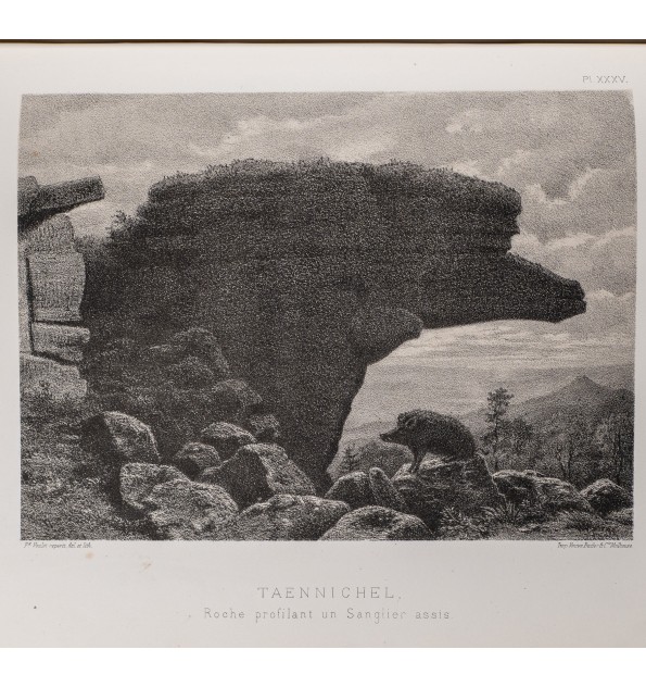 Les Vosges avant l'histoire.