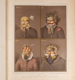 Strasbourg illustré ou panorama pittoresque, historique et statistique de Strasbourg et de ses environs.