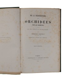 De la fécondation des orchidées par les insectes et des bons résultats du croisement.