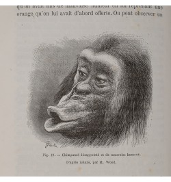 L'expression des émotions chez l'homme et les animaux.