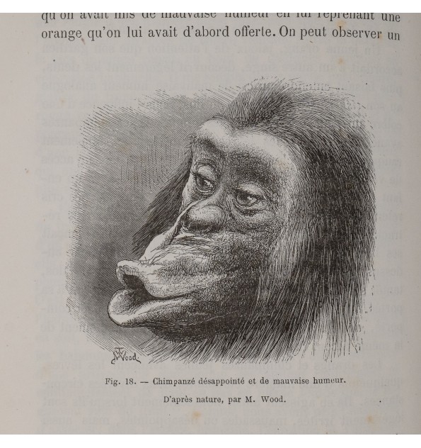 L'expression des émotions chez l'homme et les animaux.