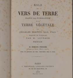 Rôle des vers de terre dans la formation de la terre végétale.