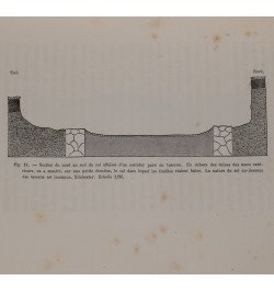 Rôle des vers de terre dans la formation de la terre végétale.