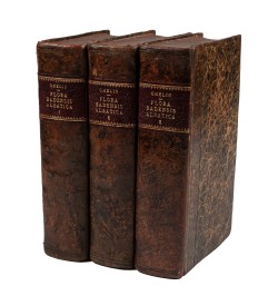 Flora Badensis Alsatica