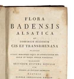 Flora Badensis Alsatica