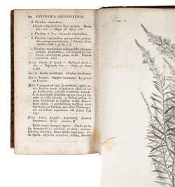 Flora Badensis Alsatica