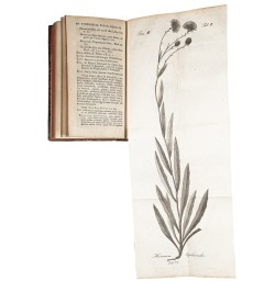 Flora Badensis Alsatica