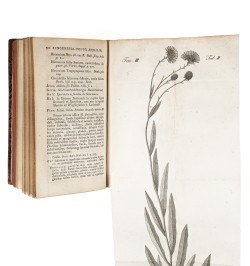 Flora Badensis Alsatica