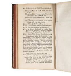 Flora Badensis Alsatica