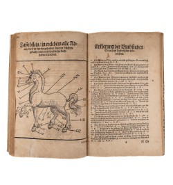 [Hippiatrique] Von mancherley gebrechen und Kranckheiten der Roß,