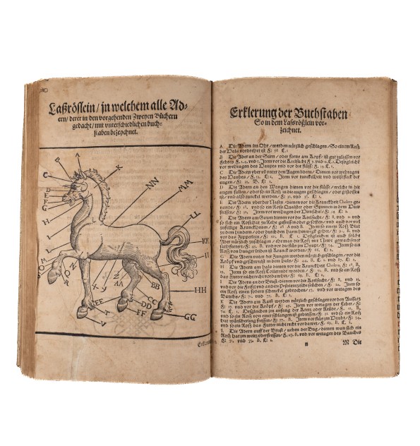 [Hippiatrique] Von mancherley gebrechen und Kranckheiten der Roß,