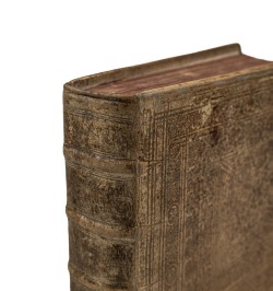 Commentariorum rerum Germanicarum libri tres.