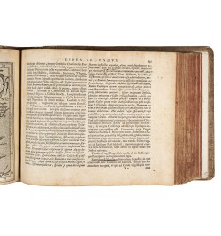 Commentariorum rerum Germanicarum libri tres.
