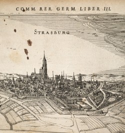 Commentariorum rerum Germanicarum libri tres.