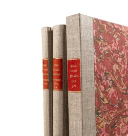 [Cathédrale de Strasbourg] Strassburger Münster-Blatt.