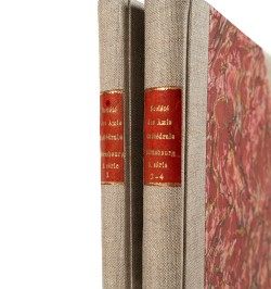 [Cathédrale de Strasbourg] Strassburger Münster-Blatt.