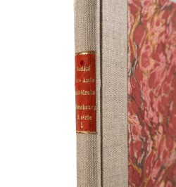 [Cathédrale de Strasbourg] Strassburger Münster-Blatt.