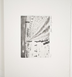 Les chênes qu'on abat.